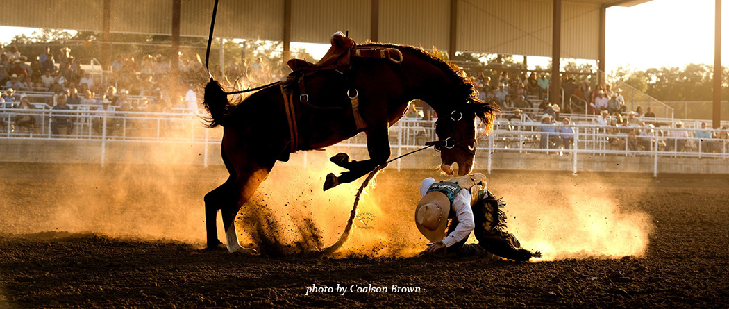 horse and cowboy image